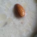 शशि केसरी का कुकस्नैप जब उन्होंने मिष्टी दोई (Mishti doi recipe in Hindi) बनाया था।