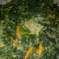 Cooksnap dari Lukita Raya Caem untuk resep Sayur daun singkong kuah santan