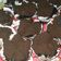 Cooksnap dari Yolanda Yolanda untuk resep Brownies kukus tepung beras