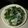 El cooksnap de Dina Gaitan cuando hizo Sopa de Espinacas.