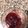 El cooksnap de fermagraf cuando hizo Mermelada de frutilla #2 🍓.