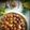 SOMASREE BAIDYA's cooksnap of when they made তালের বড়া (taler bora recipe in Bengali).