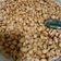 Cooksnap dari mama fay untuk resep Kacang bawang empuk dan gurih