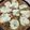 El cooksnap de tenciwallschlejel cuando hizo Tarta de Pollo y Brócoli.