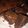 Cooksnap dari Renita Purnamasari untuk resep Fudge Brownies