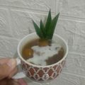 Cooksnap dari Danintan untuk resep Kolak Biji Salak Labu Kuning