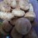 Cooksnap dari devina septavira untuk resep Nastar abon bawang goreng