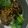 Cooksnap dari Nda Barun untuk resep Pakcoy Saus Tiram
