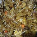 Cooksnap dari noor bakya untuk resep Kwetiau goreng Solaria