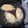 El cooksnap de alicia beatriz infante cuando hizo Empanada frita.