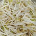 素了愿 的 炒豆芽菜 cooksnap