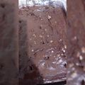 El cooksnap de Camila Alejandra Huerta Valdebenito cuando hizo Brownie.