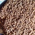Cooksnap dari Jacx Laros untuk resep Kacang telor simple