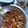 รูป Cooksnap ของ Annyna Vibullsilp เมื่อเขาทำ ขนมจีนน้ำพริกน้ำย้อย มีสูตรน้ำพริกให้ด้วยค่ะ