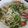 Cooksnap dari Lissy Art untuk resep Sayur Urap Selada Air-Tauge-Jipang/Labu Siam