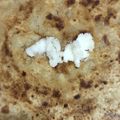 Yoshita Ahuja Kwatra's cooksnap of when they made Aloo Parathas.