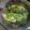 Cooksnap Ezzeyan Mu'izz semasa beliau membuat Ikan siakap steam limau simple.