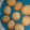 eman.mandeel's cooksnap of when they made Maple Syrup Butter Cookies.