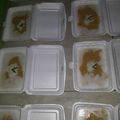 Cooksnap dari bunda qeela untuk resep Bubur Merah Putih (ketan)