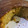 El cooksnap de laura cuando hizo Torta de banano casera.