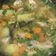 Cooksnap dari Monica Putri untuk resep Sop sayur sayap ayam (superr simple)
