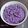 Cooksnap dari Desfita_MamiCay untuk resep Bubur Mutiara Ubi Ungu