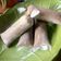 Cooksnap dari Dapur riza'M untuk resep ES STICK COKLAT ala LC