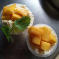  Ting匠手作 的 芒果冰淇淋 cooksnap
