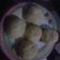 Cooksnap dari Eva Putri untuk resep Bakpao Simple, Sederhana, dan Enak Lembut