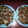 Mrs.Leach's cooksnap of when they made Cracker Candy.