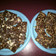 Mrs.Leach's cooksnap of when they made Cracker Candy.
