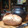 El cooksnap de eliana cardoso cuando hizo Pan integral rápido (en una hora).