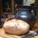 El cooksnap de eliana cardoso cuando hizo Pan integral rápido (en una hora).