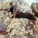 El cooksnap de Kathy Laborde Inostroza cuando hizo Brownie.