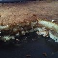 El cooksnap de Elemarina cuando hizo Tarta de coco y dulce de leche.