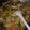 Cooksnap dari Lintang K untuk resep Capcay simple menu favorite
