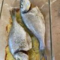 El cooksnap de Alejandro Grech sanchez cuando hizo Lubina al horno.