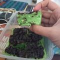 Cooksnap dari sukma husen untuk resep Bolu Pandan Susu Kukus
