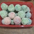 Cooksnap dari Riesfi untuk resep GB.17 Onde-Onde Rainbow (Tanpa Kentang,Tanpa Santan)