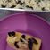 Cooksnap dari Snag Frozen untuk resep Prol Tape Kukus