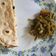 Heena Manani's cooksnap of when they made ગવાર બટાકા નું શાક (Gavar Bataka Shak Recipe In Gujarati).