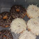 Cooksnap dari Renina Nazwa untuk resep Donat Kentang (Tepung serbaguna, empuk👌)
