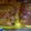 isauraventura17's cooksnap of when they made Orange honey-mustard Salmon.