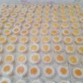 Cooksnap dari Raya Merdekawati untuk resep Puding telor ceplok
