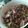 Cooksnap dari Aisyah bintu Baen untuk resep Oseng Cumi Asin