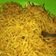 Cooksnap dari Ahda Jaudah untuk resep 21. Mie Goreng Burung Dara Praktis