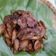 Cooksnap dari Umma Kitchen Bali Halalan Food untuk resep Masakan ala Rumahan Balado Jengkol