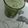 Hemali Bosmia's cooksnap of when they made Aam panna concentrate.