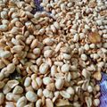 Cooksnap dari Yunike D untuk resep Kacang Goreng (gurih renyah)