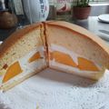 田田圈 的 百香果波士頓蛋糕 cooksnap